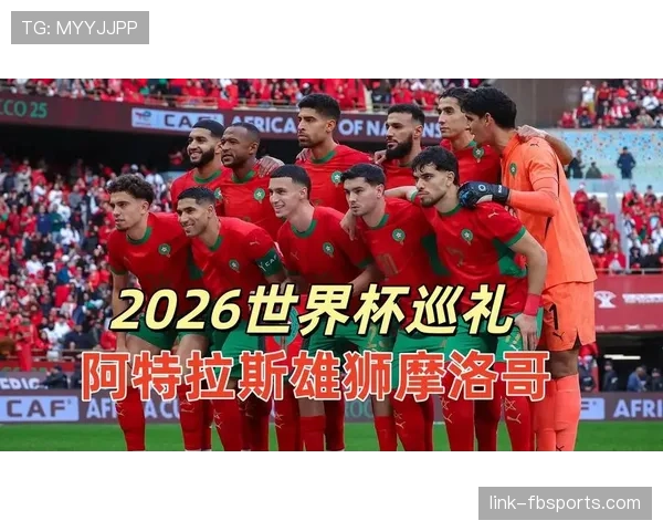 2026世界杯C组最终出线球队预测